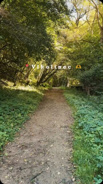 📍Vlkolínec
Vznik osady sa datuje už medzi druhou polovicou 14. a prvou polovicou 15. storočia. Pôvodne to bola osada drevorubačov, uhliarov a pastierov. Do zoznamu svetového kultúrneho dedičstva UNESCO bola osada zapísaná 11. decembra 1993. Je to živá obec, nie skanzen. Trvalo tu žije približne 20–30 obyvateľov v približne 18 domoch z celkového počtu 55 stavieb no v 18. storočí mala obec až 280 obyvateľov. Medzi vzácne dominanty patrí dvojpodlažná zrubová zvonica z roku 1770, ktorú netradične obsluhovala žena. Samotný vstup do osady je zdarma. #travel #slovensko #vlkolinec